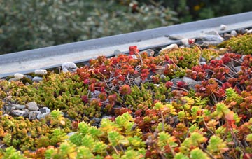 the cost of Wass green roof installation